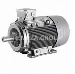 Электродвигатель 1LE1502-1DA33-4JA4-Z Siemens 4043301521