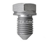 Пробка слива масла ZG1/4" LH20-2/LB30-2/40-2 21169001 для LB30