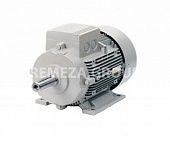 Электродвигатель АИР100L2-У3-400/690- 50IM2081-Р.К.В.К31Е МЭЗ 4043300507